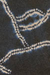 maglia morbida, al fianco, in maglia morbidissima di cachemire a 6 fili - SUZUSAN 